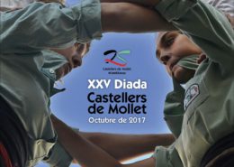 Cartell 25a Diada CdM