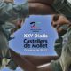 Cartell 25a Diada CdM
