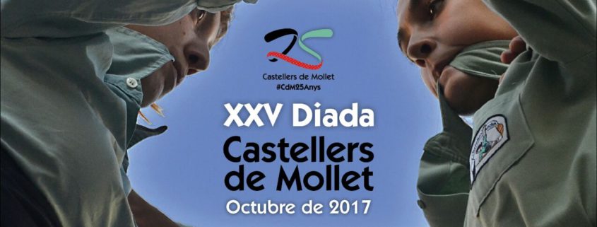 Cartell 25a Diada CdM